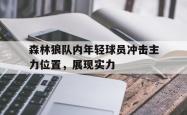 乐鱼在线开户平台-森林狼队内年轻球员冲击主力位置，展现实力