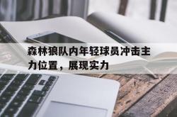 乐鱼在线开户平台-森林狼队内年轻球员冲击主力位置，展现实力