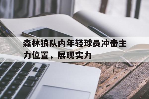 森林狼队内年轻球员冲击主力位置，展现实力